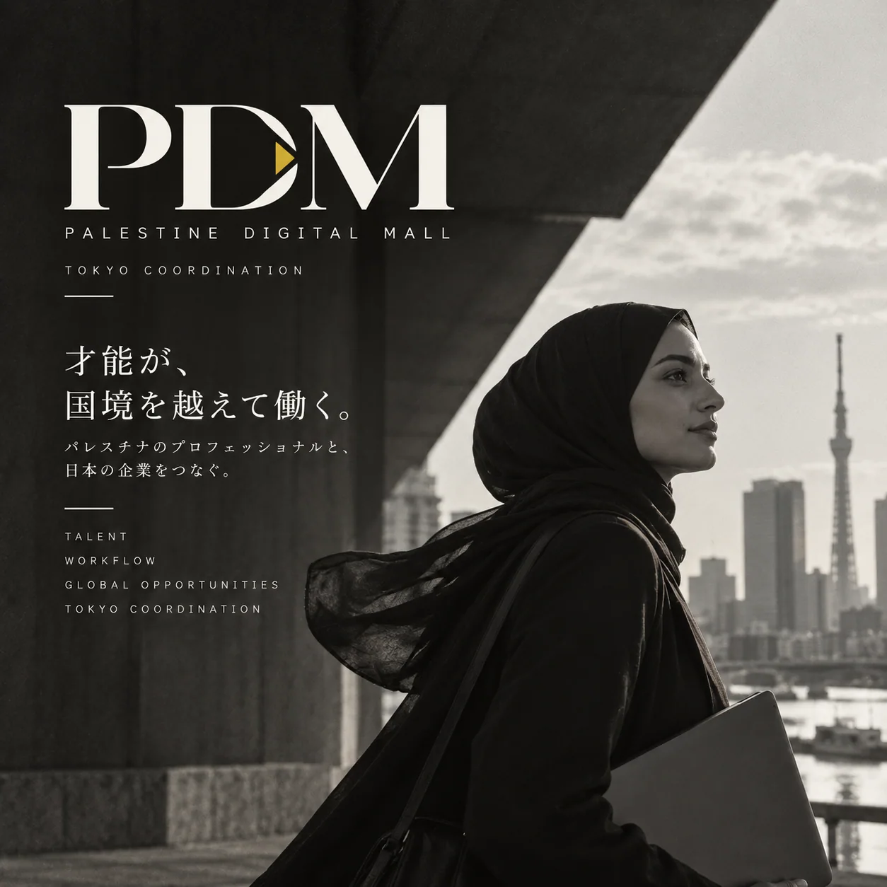 Palestine Digital Mall editorial artwork